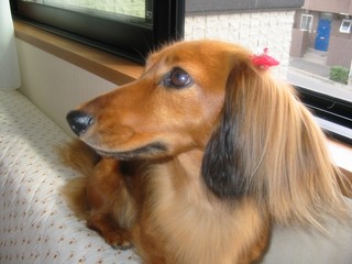 keitai18.jpg